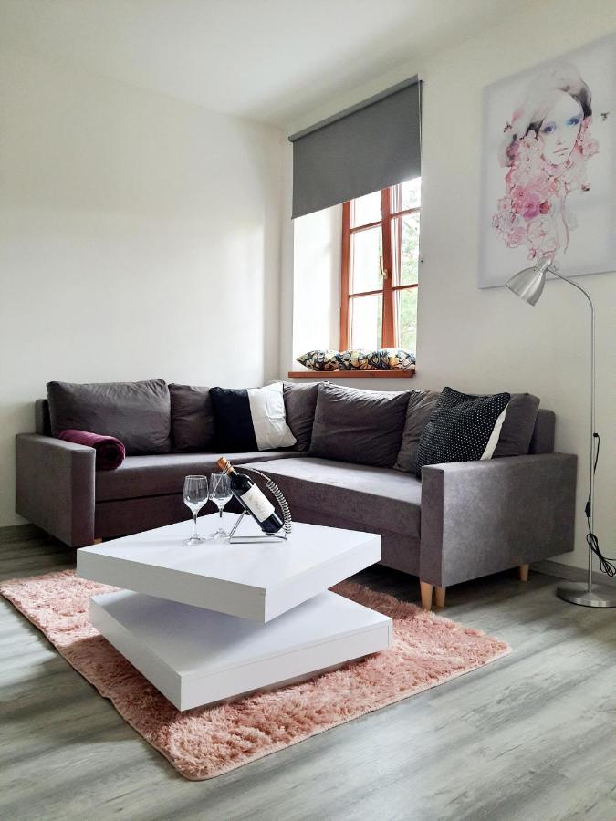 Apartman Spalovka Nový Bor المظهر الخارجي الصورة