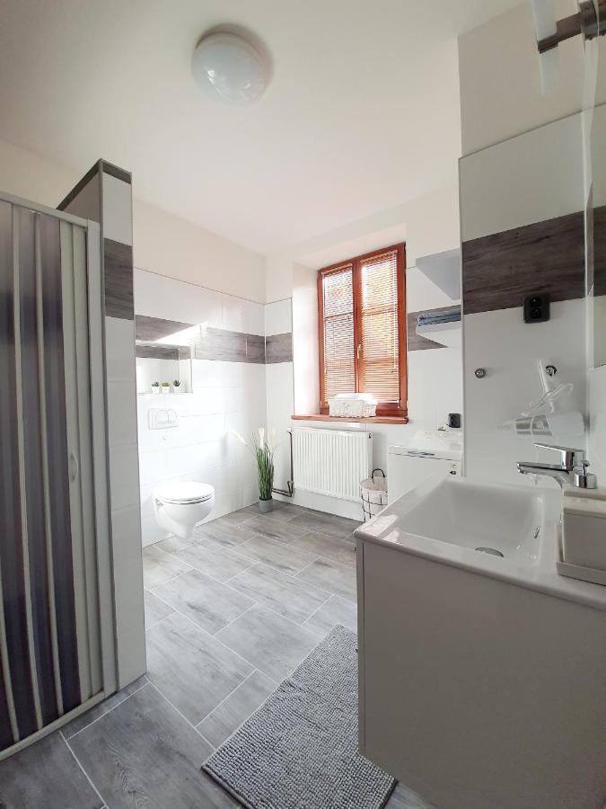 Apartman Spalovka Nový Bor المظهر الخارجي الصورة